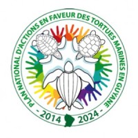 réseau-tortues-marines-321x300